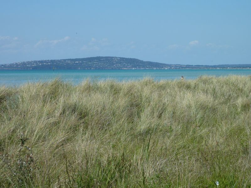 Rosebud - Foreshore reserve and Bay Trail on east side of Rosebud Pier: View towards Mt Martha from Bay Trail