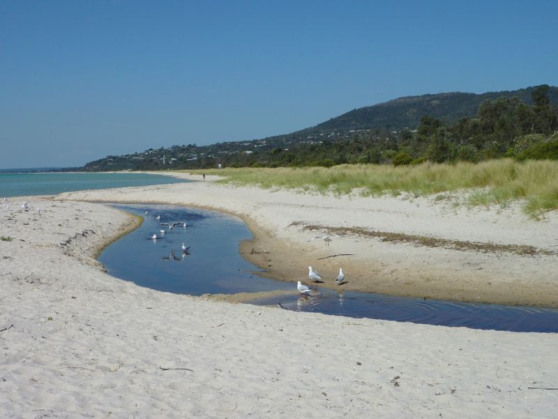 Rosebud - Foreshore reserve and Bay Trail on east side of Rosebud Pier: Easterly view along beach towards Arthurs Seat