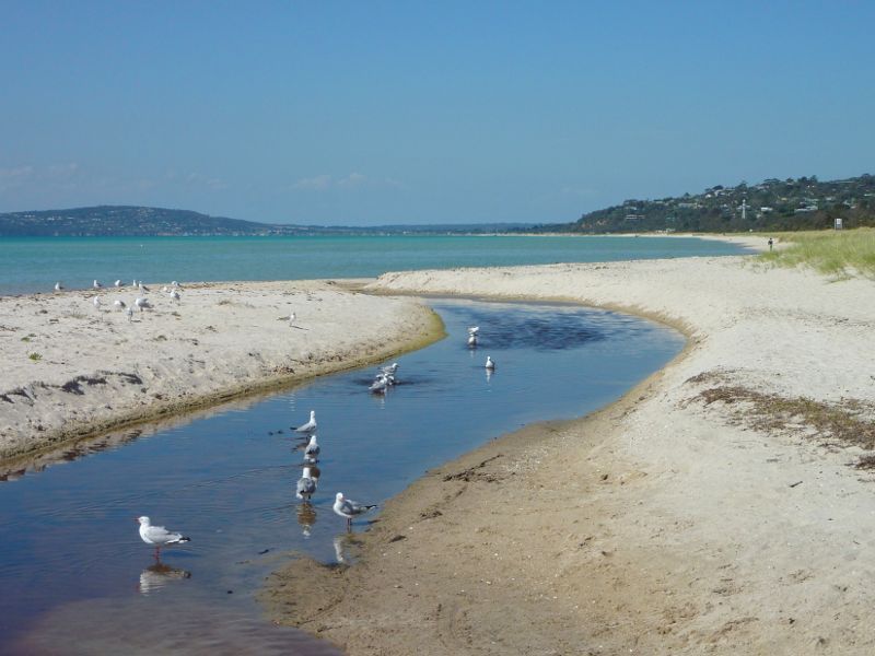 Rosebud - Foreshore reserve and Bay Trail on east side of Rosebud Pier: View along beach towards McCrae and Mt Martha