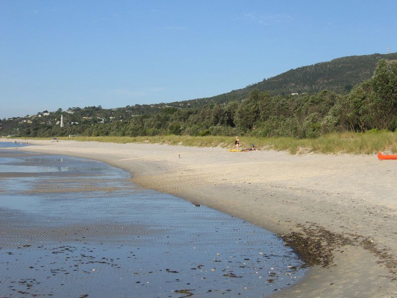 Rosebud - Beach at Tom Salt Park: Easterly view along beach towards Arthurs Seat