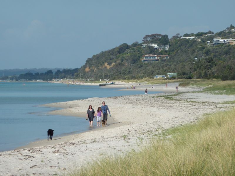 Rosebud - Beach at Tom Salt Park: View along beach towards Anthonys Nose