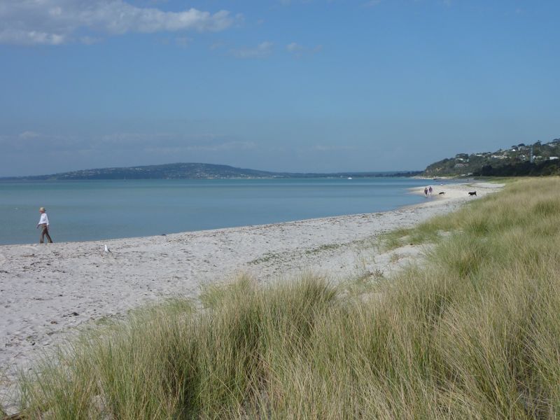 Rosebud - Beach at Tom Salt Park: View along beach towards Anthonys Nose and Mt Martha