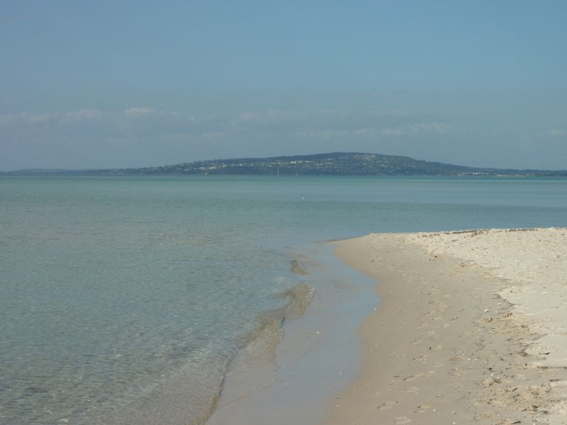 Rosebud - Beach at Tom Salt Park: View along beach towards Mt Martha