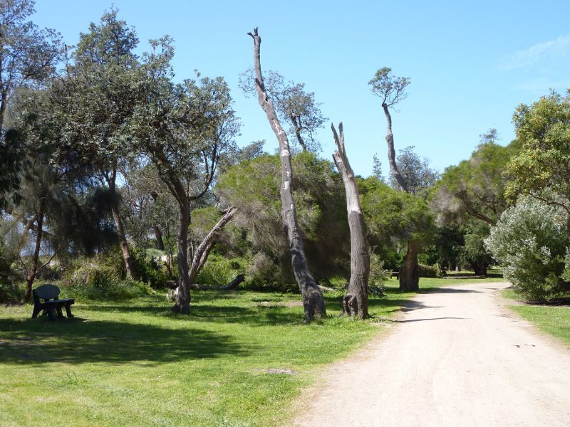 Rosebud - Beach and foreshore reserve east of Percival Street, Capel Sound: Track trough foreshore reserve