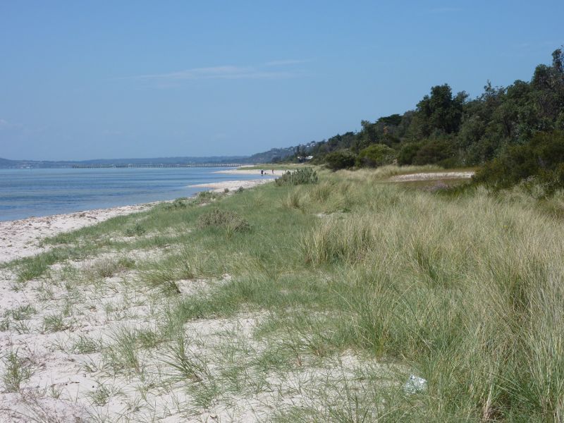 Rosebud - Beach and foreshore reserve east of Percival Street, Capel Sound: Easterly view along foreshore and beach