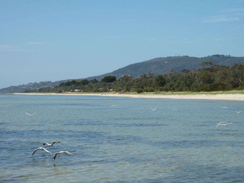 Rosebud - Beach and foreshore reserve east of Percival Street, Capel Sound - View across beach towards Arthurs Seat