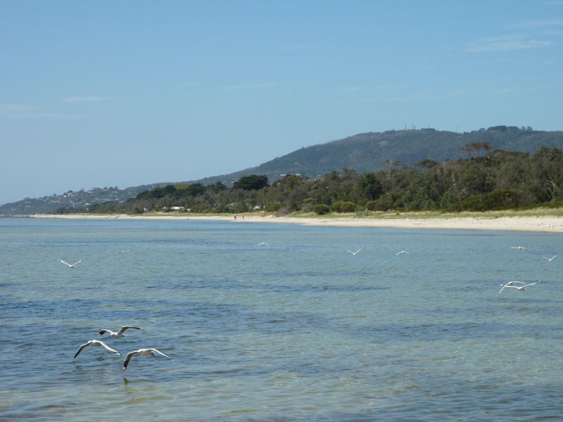 Rosebud - Beach and foreshore reserve east of Percival Street, Capel Sound: View across beach towards Arthurs Seat