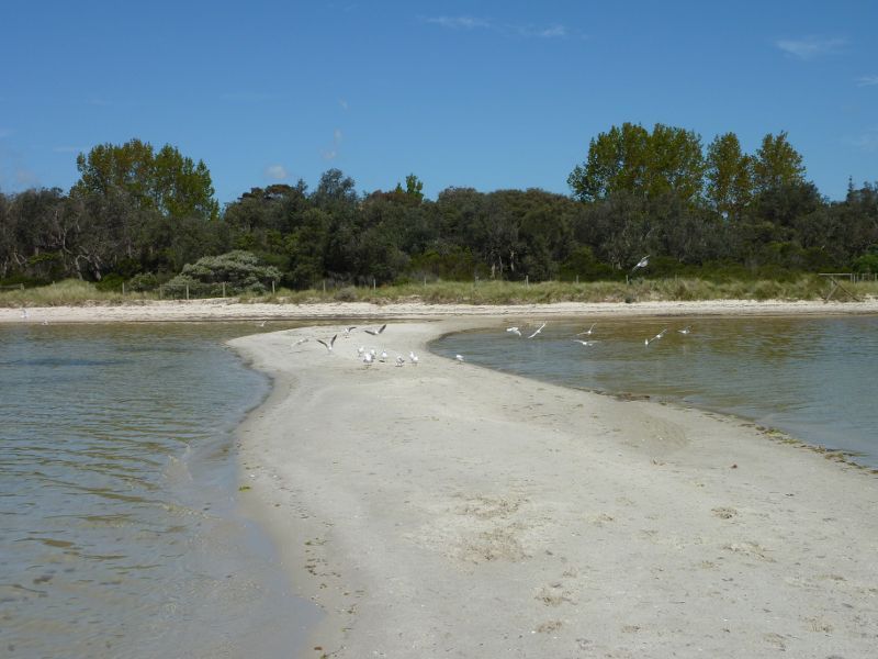 Rosebud - Beach and foreshore reserve east of Percival Street, Capel Sound: View along sandbank towards shore