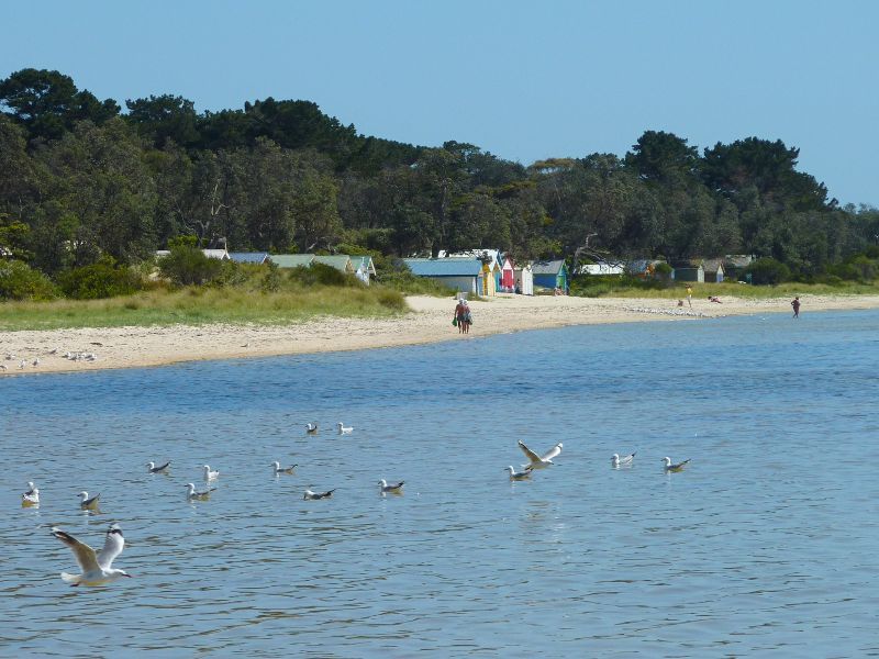 Rosebud - Beach and foreshore reserve east of Percival Street, Capel Sound - Westerly view along beach