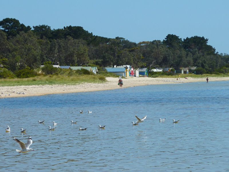 Rosebud - Beach and foreshore reserve east of Percival Street, Capel Sound: Westerly view along beach