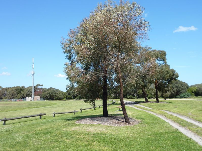 Rosebud - Truemans Road Recreation Reserve, Capel Sound: Southern end of athletics oval