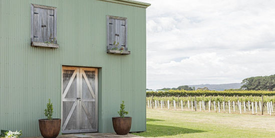 Tallarida Vineyard, Boneo