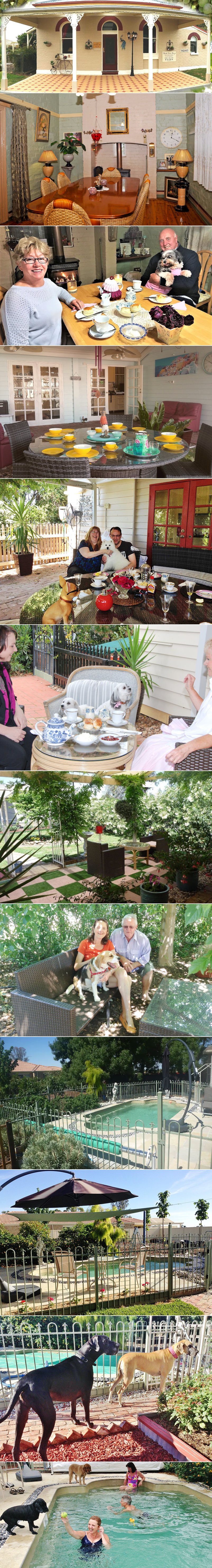 Must Love Dogs B&B - Grounds and facilities