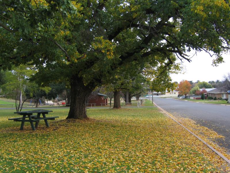 Rutherglen - Lake King and Apex Park, Murray Street: View north-west along Murray St at Apex Park