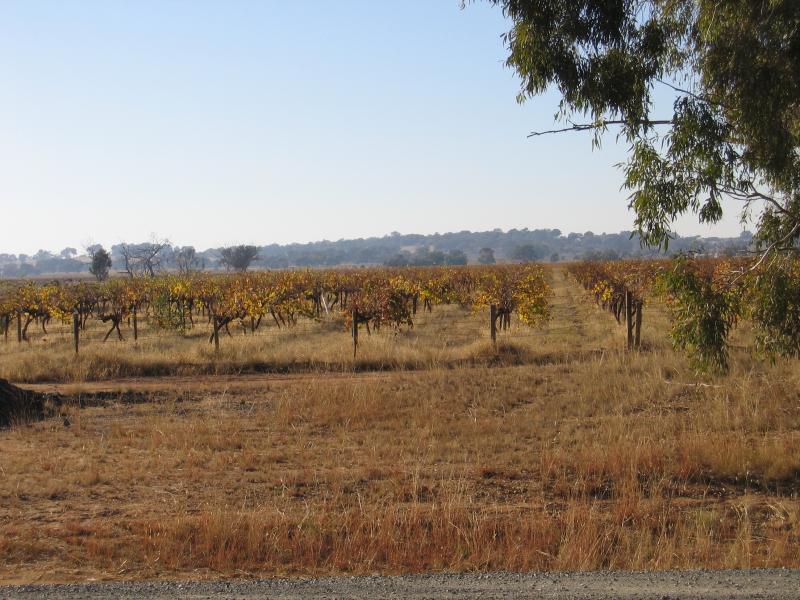 Rutherglen - Around Rutherglen - View of Buller winery from Wangaratta Rd, just south of Murray Valley Hwy