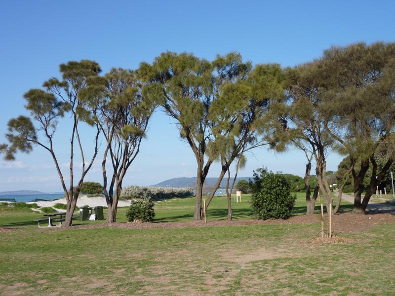 Rye - Foreshore park along Point Nepean Road on east side of Rye Pier: View east through foreshore park opposite Lyons St