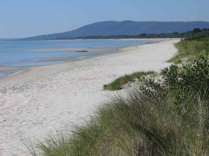 Rye - Coast around Rye Yacht Club: View east along coast towards Arthurs Seat