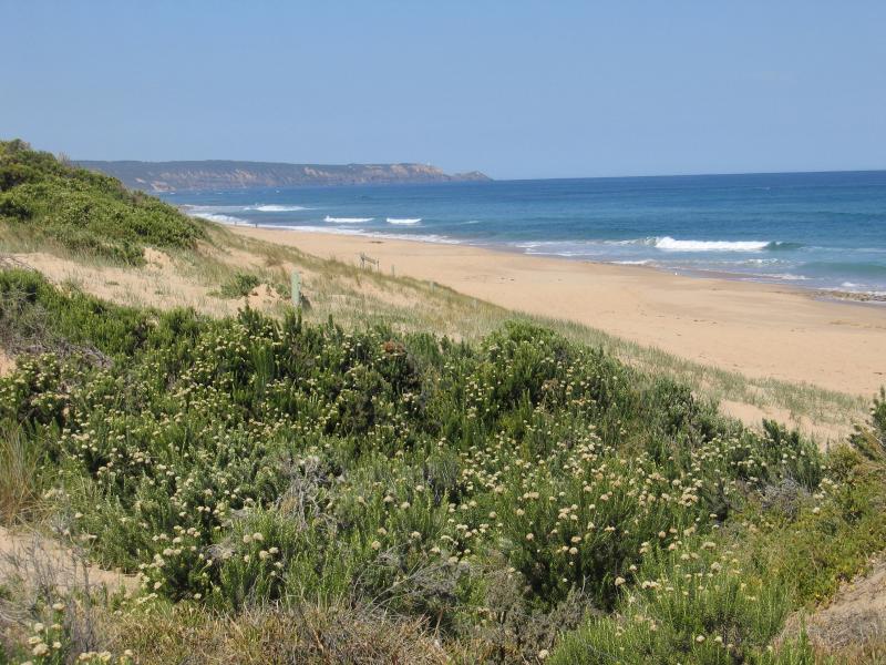 Rye - Rye Ocean Beach, Dundas Street at St Andrews Beach: View south-east along foreshore