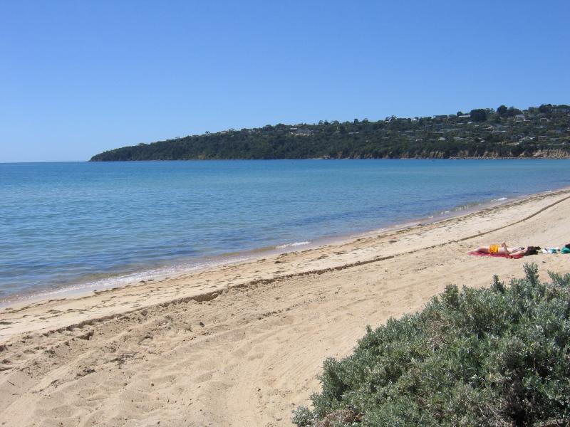 Safety Beach - Jetty and boat ramp area: View north along coast at jetty