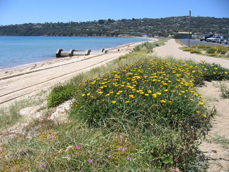 Safety Beach - Beach, coast and foreshore: View north along coast from boat trailer parking area just north of jetty