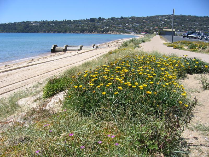 Safety Beach - Beach, coast and foreshore - View north along coast from boat trailer parking area just north of jetty