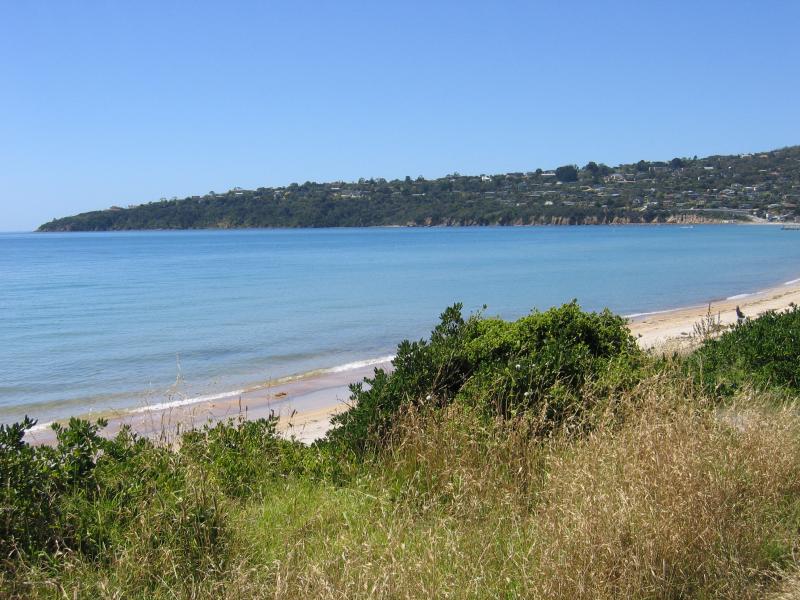 Safety Beach - Beach, coast and foreshore: View north along coast from opposite Link Dr towards Mt Martha