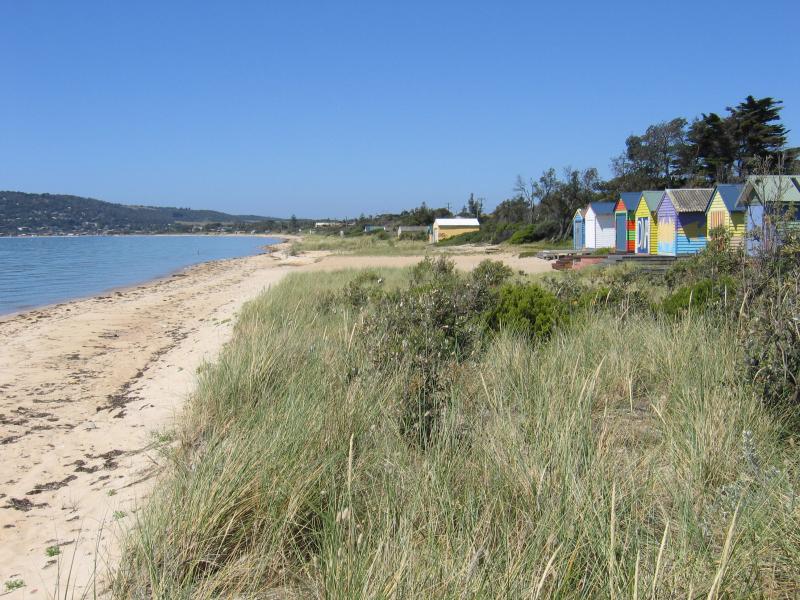 Safety Beach - Beach and foreshore at corner of Marine Drive and Nepean Highway: View north-east along coast