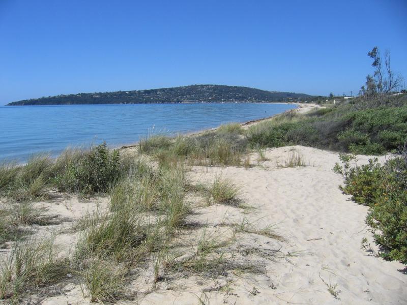 Safety Beach - Beach and foreshore at corner of Marine Drive and Nepean Highway: View north-east along coast with Mt Martha in background