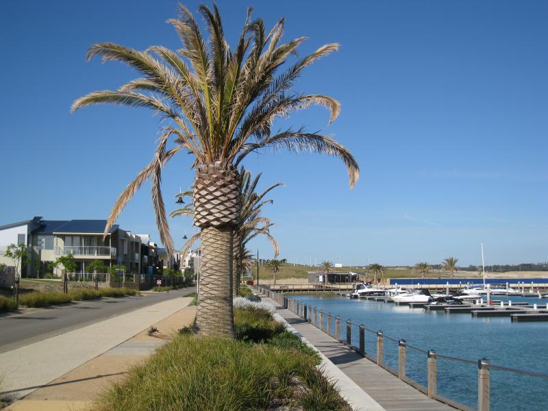 Safety Beach - Martha Cove (precinct under development): View east along Harbourside Esp towards Tiller Link