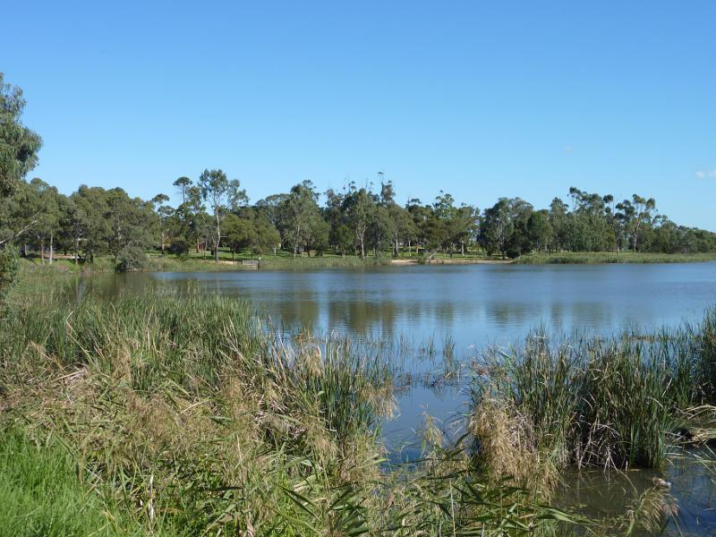 Sale - Lake Guthridge and surroundings: View towards botanic gardens from north-eastern corner of lake