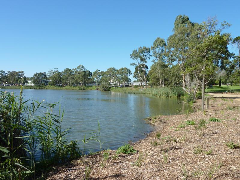 Sale - Botanic Gardens: North-easterly view along Lake Guthridge towards southern end of gardens