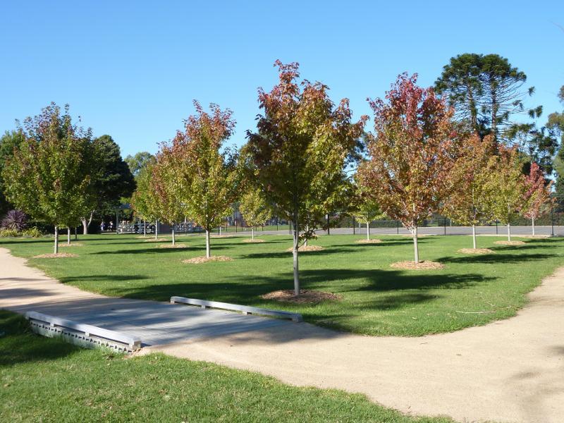 Sale - Botanic Gardens: Trees near tennis courts