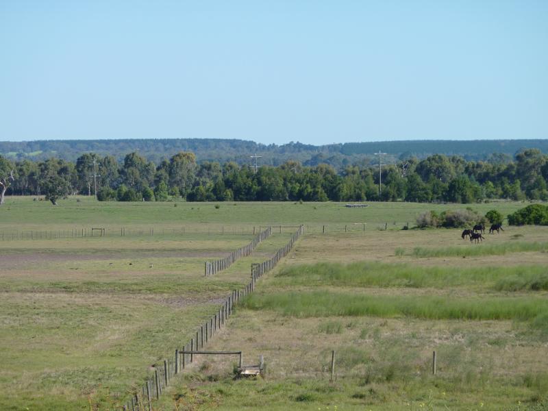 Sale - Stevens Street overlooking flood plain: Southerly view over flood plain
