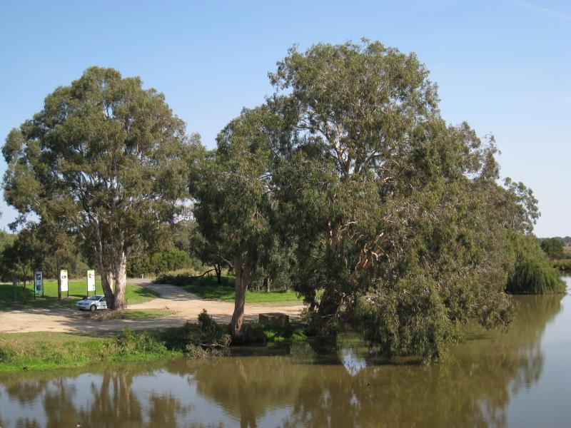 Sale - Historic Swing Bridge area, South Gippsland Highway south of Sale: View towards parkland on southern bank of La Trobe River, western side of swing bridge