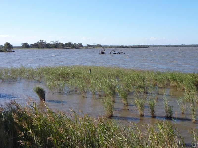 Sale - Marlay Point and foreshore reserve, Lake Wellington: Northerly view across lake, west of boat ramp