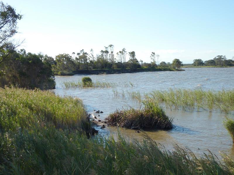 Sale - Marlay Point and foreshore reserve, Lake Wellington: North-westerly view, west of boat ramp