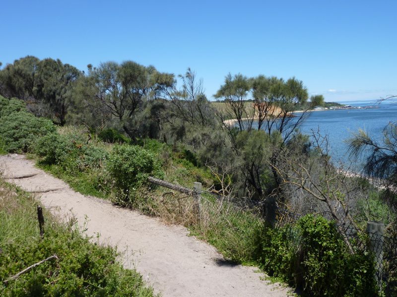 Sandringham - Beach and coastline opposite Royal Avenue: Pathway along top of coastal cliffs