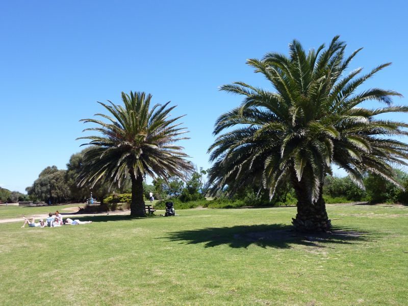 Sandringham - Beach and foreshore park between Sims Street and band rotunda: Foreshore park opposite Bay Rd