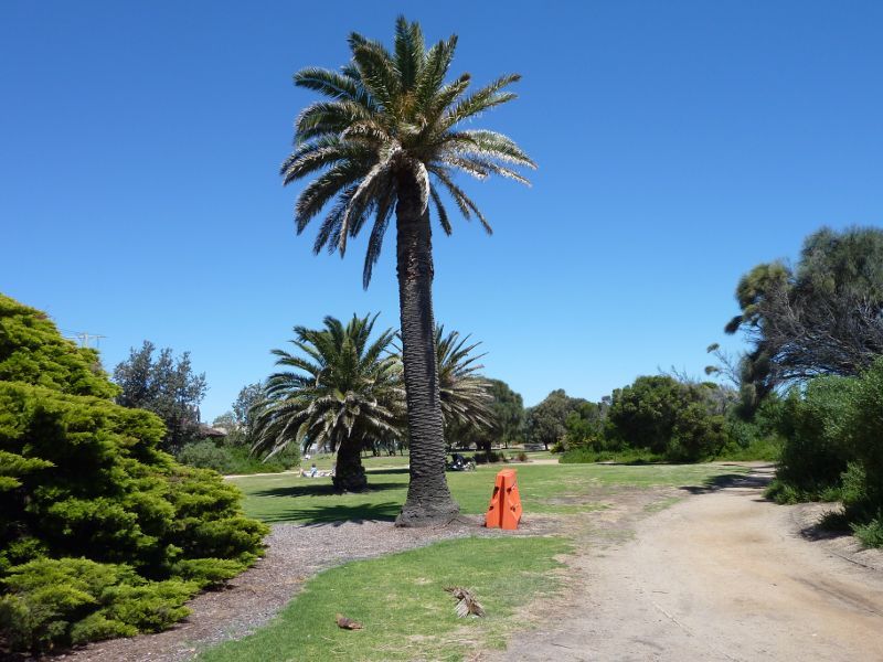 Sandringham - Beach and foreshore park between Sims Street and band rotunda: Foreshore park near band rotunda