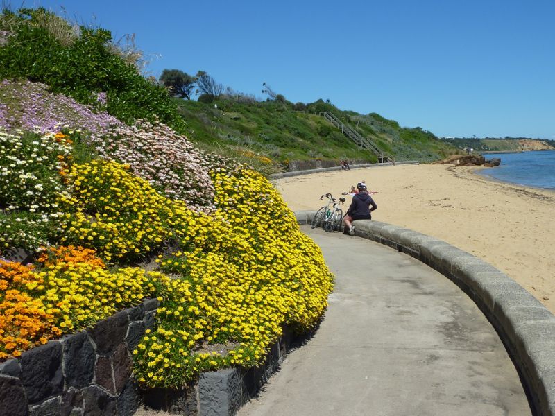 Sandringham - Beach and foreshore park between Sims Street and band rotunda - South-easterly view along beach pathway