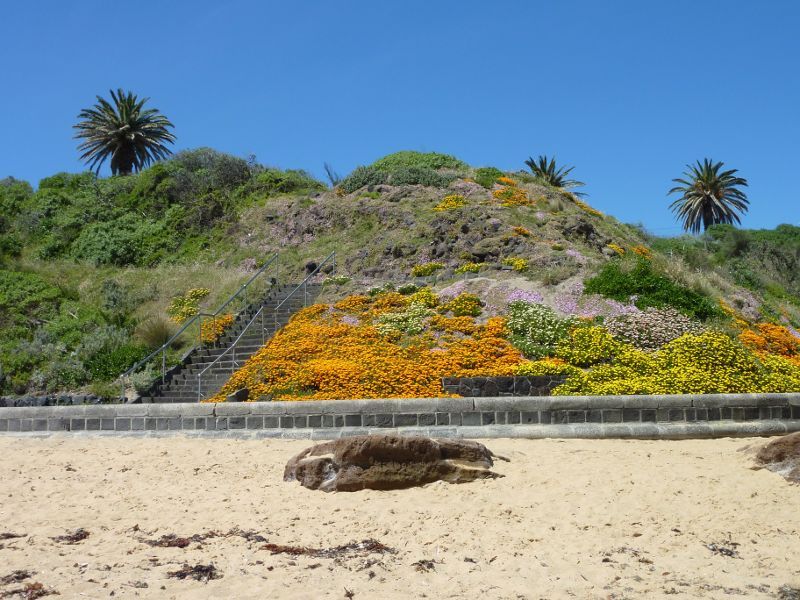Sandringham - Beach and foreshore park between Sims Street and band rotunda: View from beach towards foreshore park