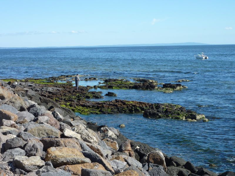 Sandringham - Picnic Point, breakwater and boat harbour: View out to bay from near Sandringham Yacht Club