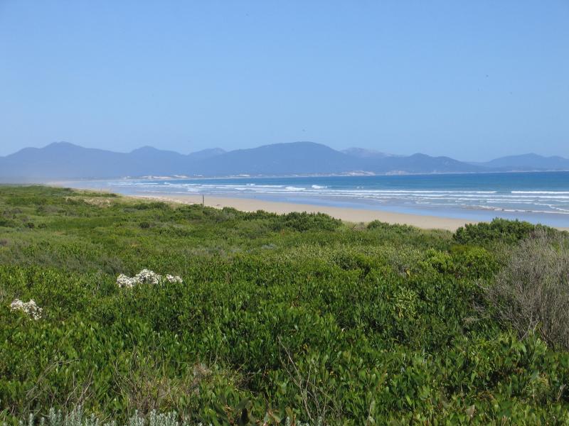 Sandy Point - Foreshore Reserve and beach at Surfers Walk: View south-east along coast with mountains of Wilsons Promontory in background
