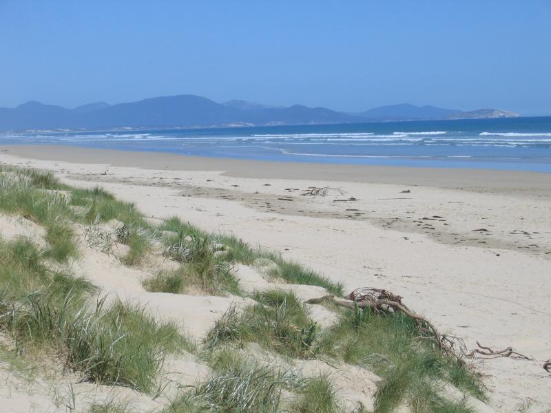 Sandy Point - Foreshore Reserve and beach at Surfers Walk: View south-east along beach towards Wilsons Promontory