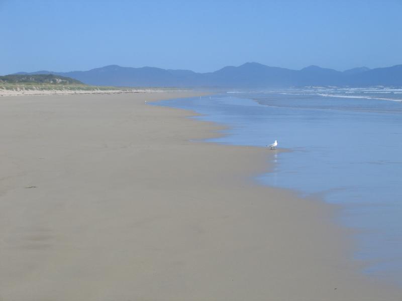 Sandy Point - Foreshore Reserve and beach at Surfers Walk: View south-east along beach towards Wilsons Promontory