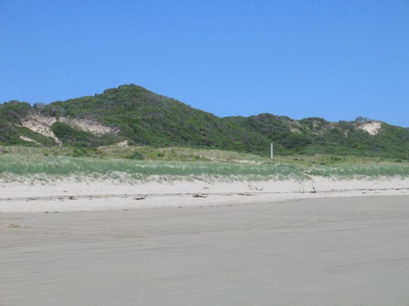 Sandy Point - Foreshore Reserve and beach at Surfers Walk: View of sand dunes from beach