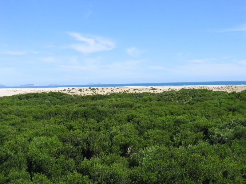 Sandy Point - Shallow Inlet at eastern end of Sandy Point Road: View from sand dunes, south towards islands off coast of Wilsons Promontory