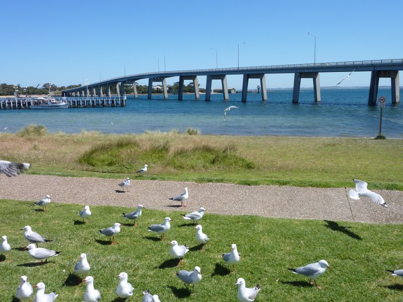 San Remo - Foreshore along Marine Parade: View north across foreshore towards bridge