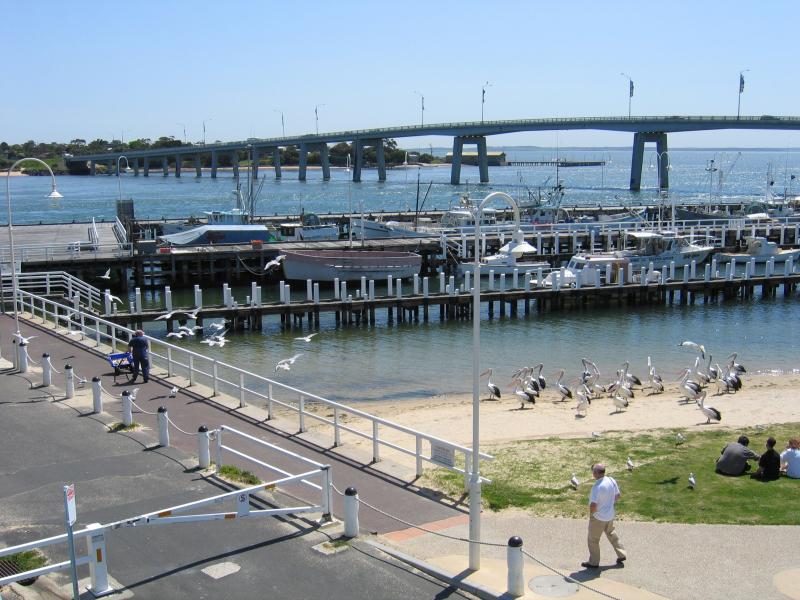 San Remo - San Remo Jetty: View north towards jetty from Fishermans Co-Op