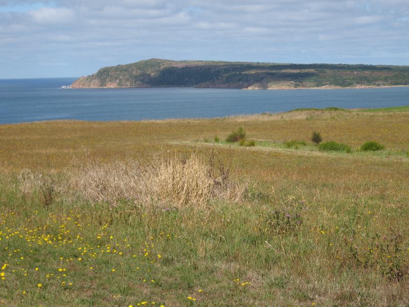 San Remo - Bore Beach, Potters Hill Road: View south-west from Potters Hill Rd towards Cape Woolamai